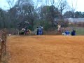 Prissy the Halflinger Roping Pony