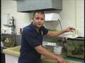 Aquaponics, Hydroponics & Aquaculture (Part 1)