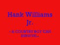 Country Boy can Survive--Hank williams Jr.--