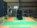 videos de Danilo Di Pietro Gymseng 4