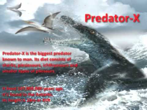 liopleurodon - Who would win in a battle between these two giant prehistoric marine predators?