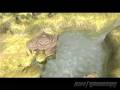 videos de Twilight Princess Demo 05 - Summond The Great Hawk