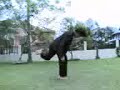 traning my student 1