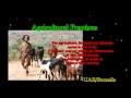 School Geography Film (Idea was inspired by Jermey Clarkson and Jason waters*butpain76*)