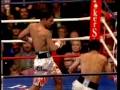 HBO Boxing: Pacquiao vs. Cotto - Heart, Courage & Determination (HBO)