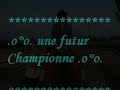 CLub du grand saut 59