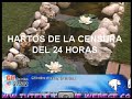 Click here to watch this video ARTURO: 'ES UNA MIERDA DE TIA, ME VAN A ECHAR' - GH EL REENCUENTRO