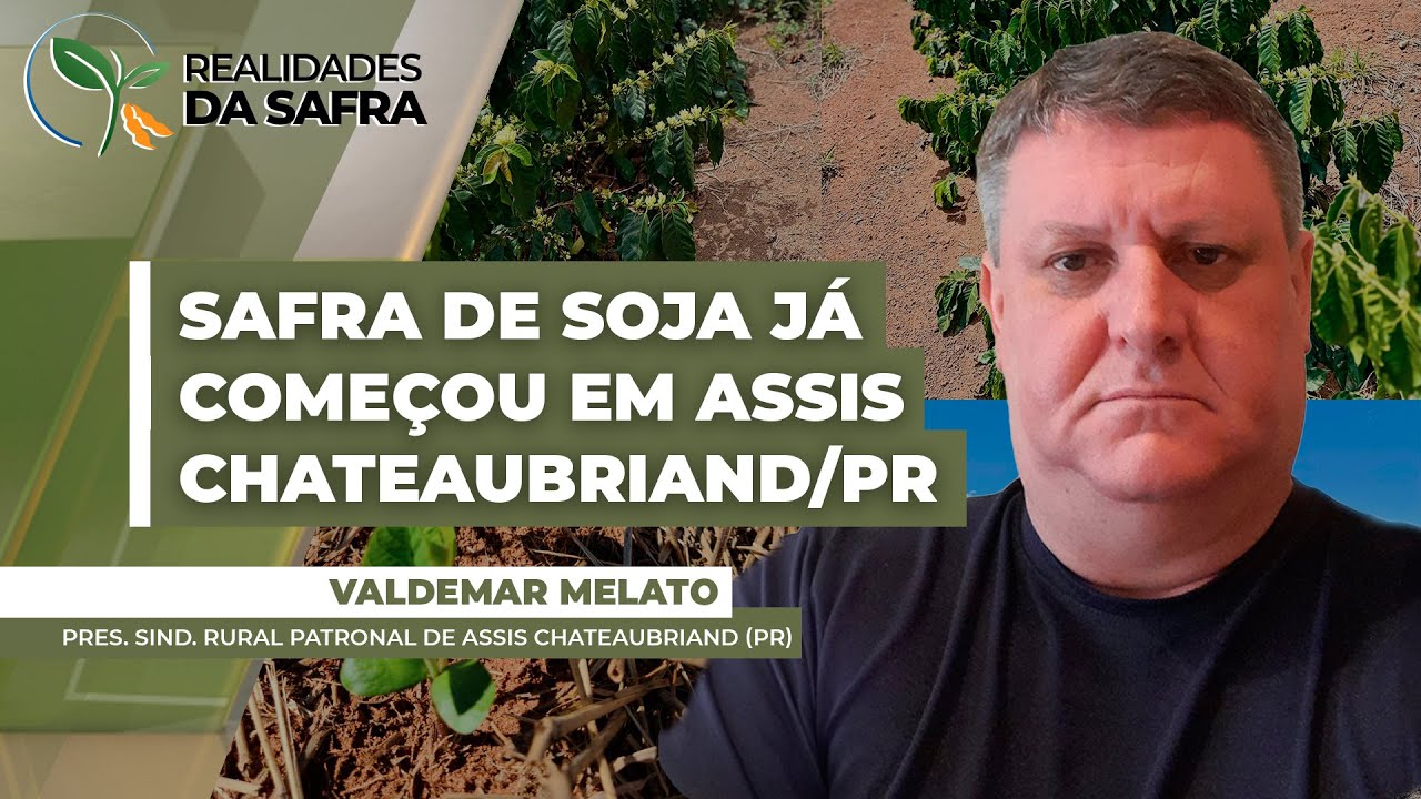 Com clima favorável, região do Oeste paranaense já semeou 5% da área e deve concluir o plantio...