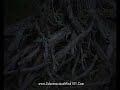 Subconscious Mind- Hypnotism