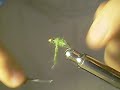 Flytying Gold Ribbed Hears Ear Flytying Gold Ribbed Hears Ear