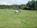 Kody♥ -Jumping 1.40m