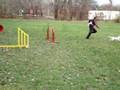 videos de Scilla Agility November