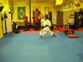 videos de US Kodokan Sword hand