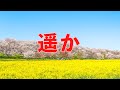 遥か（GReeeeN）混声三部合唱　歌：NEUTRINO（歌詞付き）