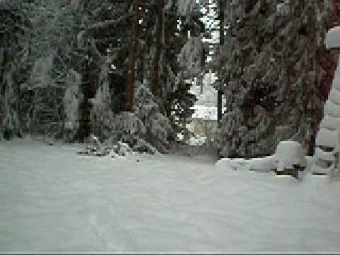 up to my knees in snow!