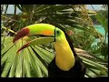 Xel-H�... Maravilla Natural de M�xico
