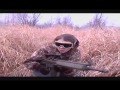 videos de STARS Airsoft November 15