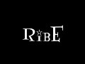 Ribe