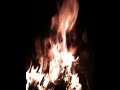 Warm, Crackling Fire