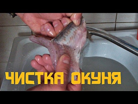 почистить окуня видео дрелью почистить окуня видео дрелью