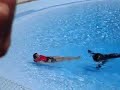 Swimming with a sea lion Selwo Marina