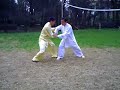 Chen Zhenglei & Chen Bin Tui Shou