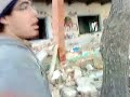 sancho's descontrol