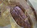 copper leaves (occasional table) -ED Vining ART-