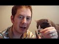 Homemade Cat Toys