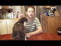 Homemade Cat Toys - Thumb #3