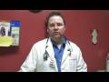 Kitten Care : Stages of Pregnancy in a Cat Kitten Care : Stages of Pregnancy in a Cat