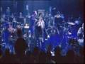 Indochine - 3 nuits par semaine