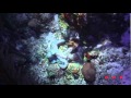 Belize Barrier Reef Reserve System (UNESCO/NHK ...