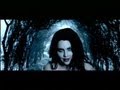 Evanescence-Lithium-