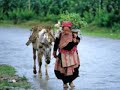 The Courage and Struggle of the Vietnamese People