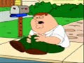 Family Guy Super Gay Advenure! ( The Musical ) Family Guy Super Gay Advenure! ( The Musical )