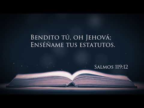 Estatuto Perpetuo | Pastor Andres Noguera