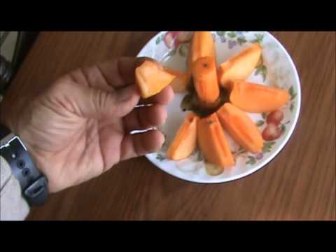 how to harvest persimmons