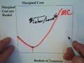 8.1 - Marginal Cost