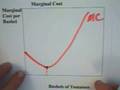 8.1 - Marginal Cost