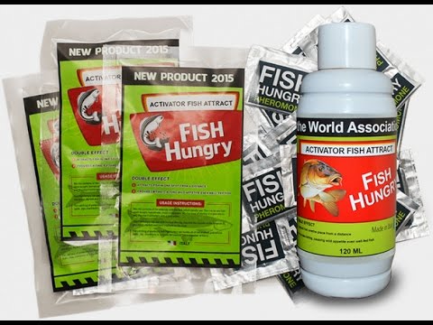 как использовать активатор клева fishhungry как использовать активатор клева fishhungry