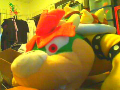 Bowser and Blossom