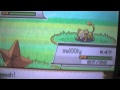 Don chromatique N°1 ! Abo et rattata shiny à gagner !