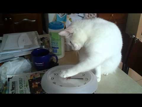 how to set ikea clock