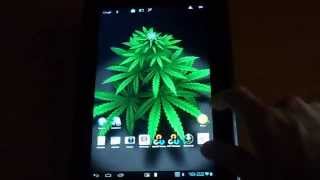 video-thumbnail