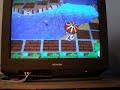 Animal Crossing City Folk - Catching A Piranha