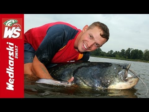 Sum 224 cm Krzysztofa Rózgi -Rzeka Wisła