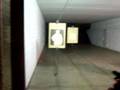Gillane with a gun 2