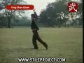 Southern Shaolin Eagle Claw Form