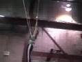 videos de Eileen Trapeze Catch#1